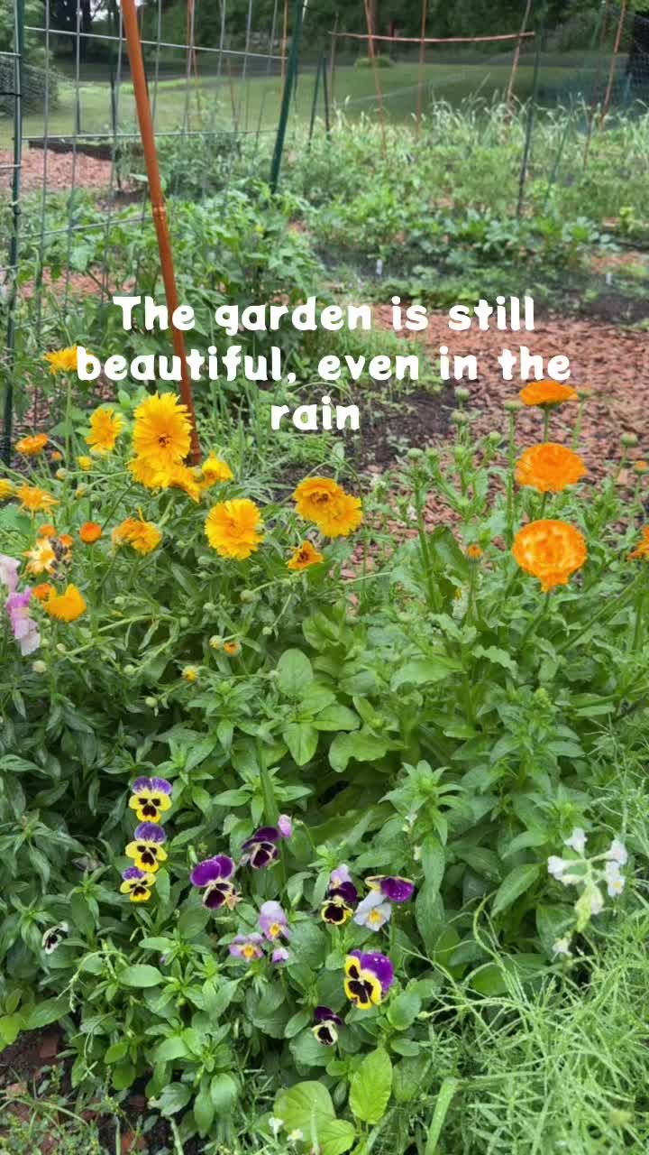 @Manica | zone 6a gardener