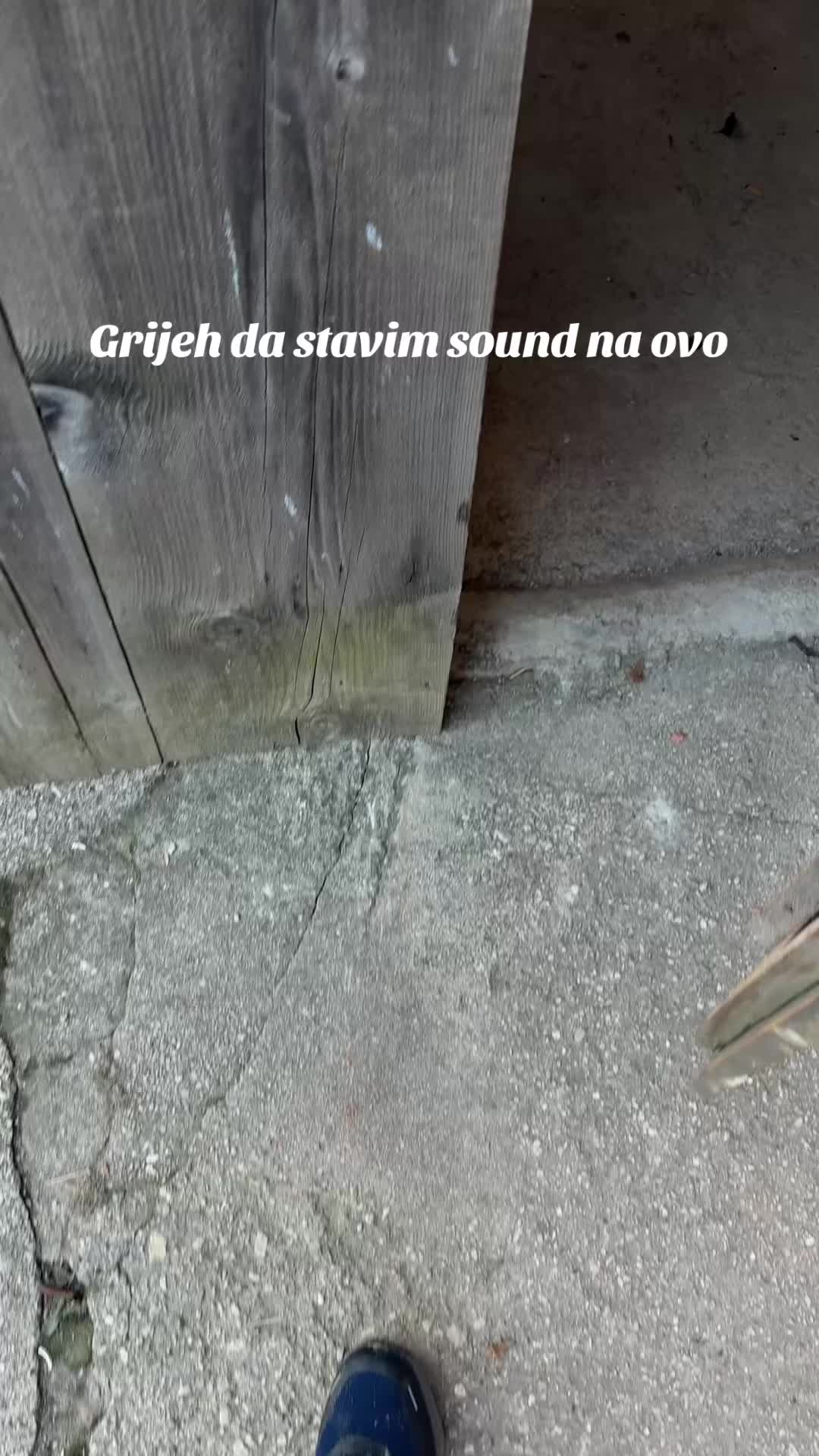 @ŠOGLI