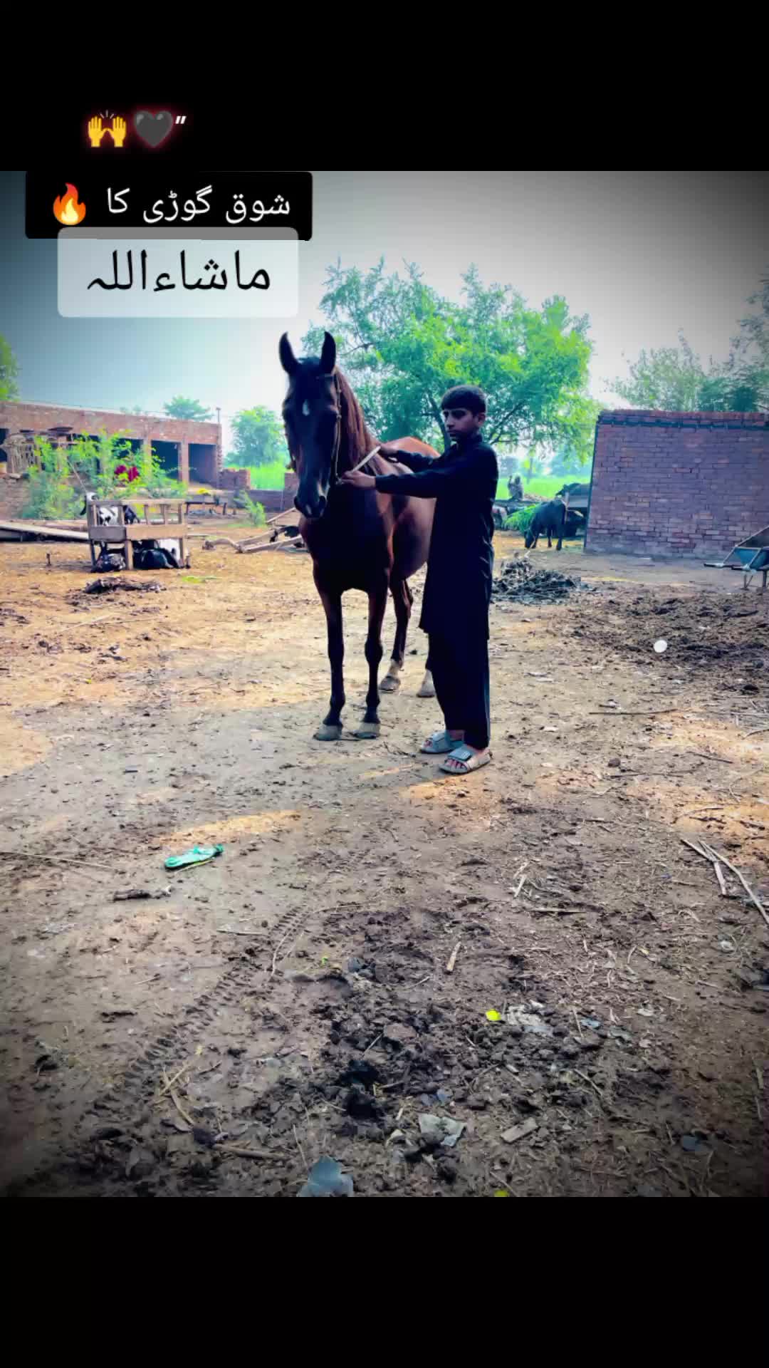 @Ali🔥Haider👈rajpoot😈