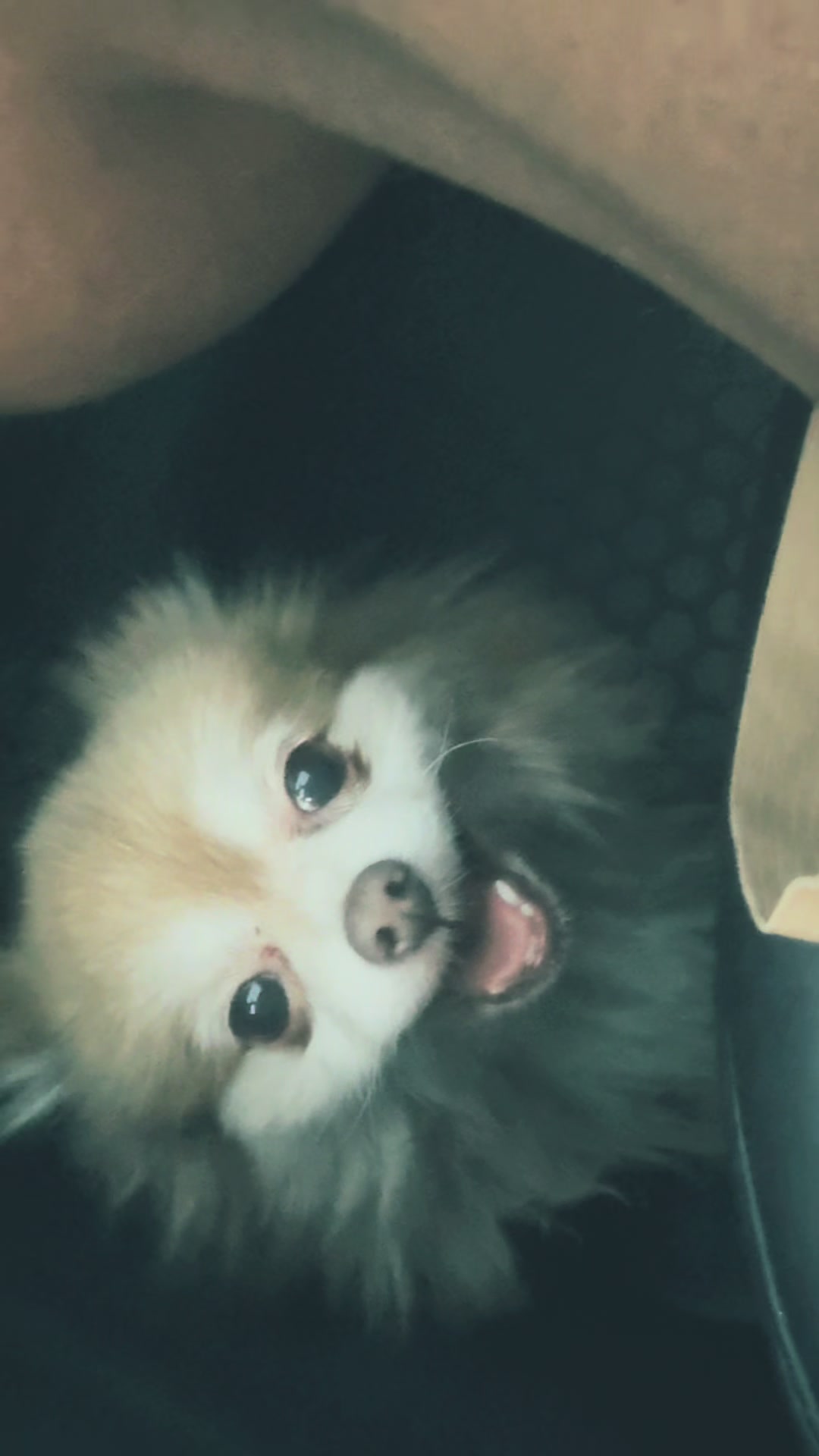 @UFO Cutie