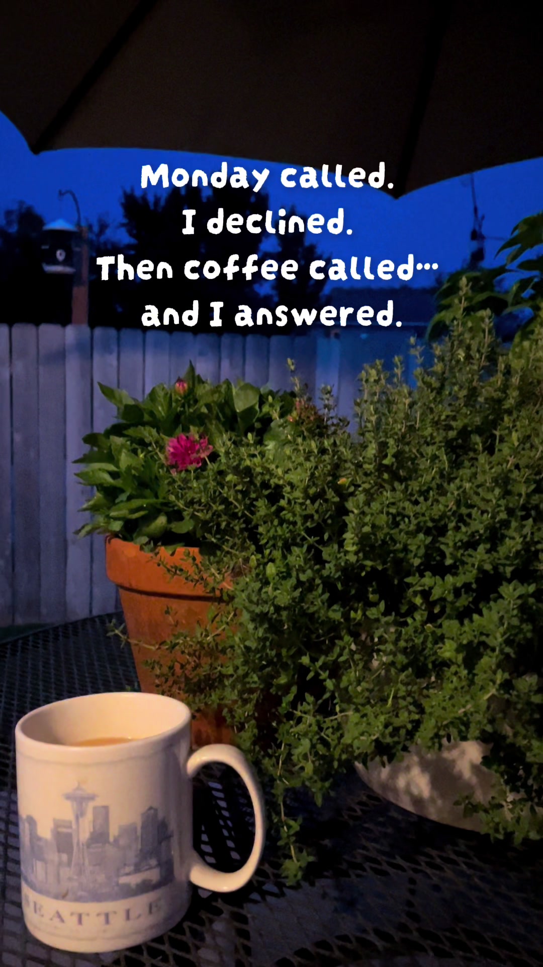 @backyardBeeg