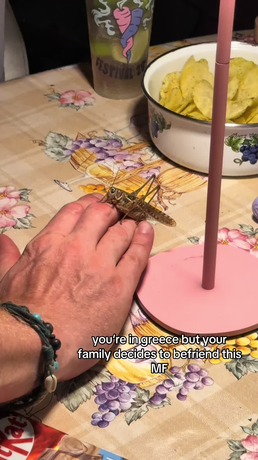 @elli🕺