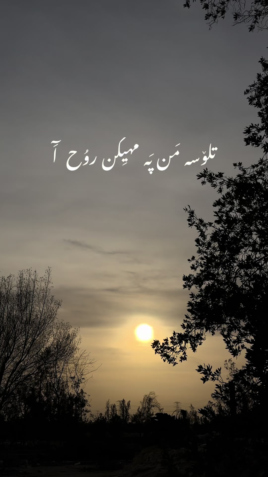 @صدیق رند