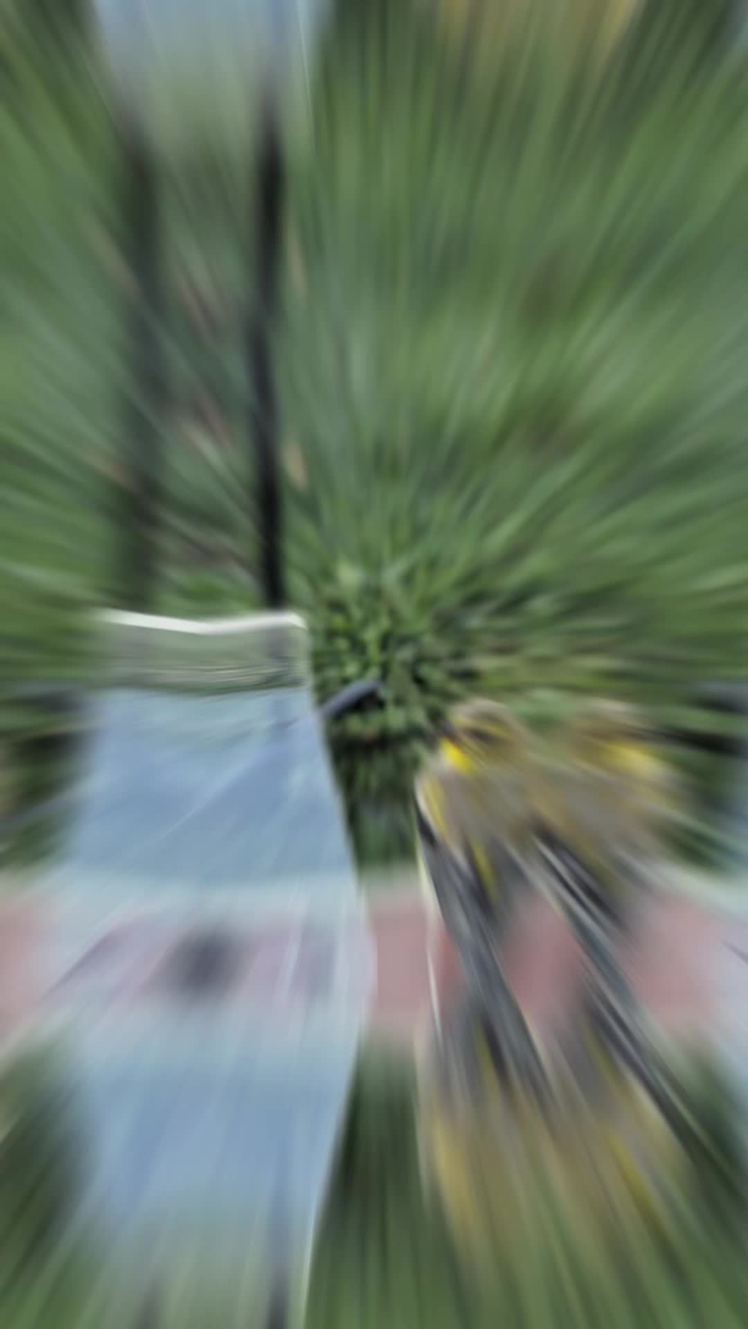 @Cajun Nana