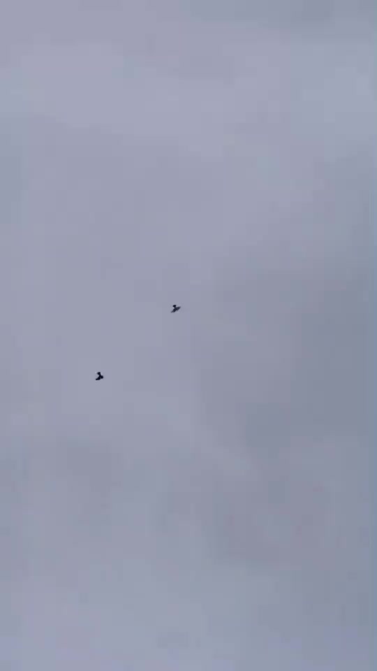 @d&ouml;nek_g&uuml;vercin_