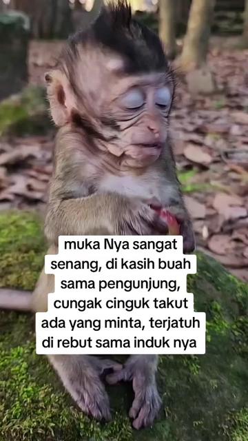 @babah zikri