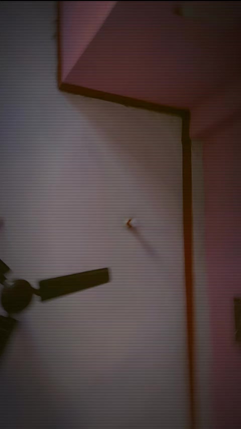 @shofia_parveen