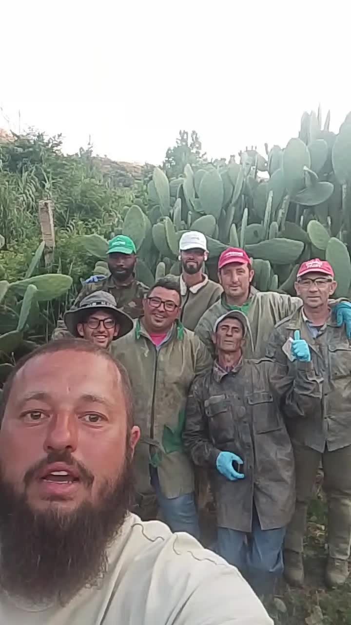 @Stefano Zagara