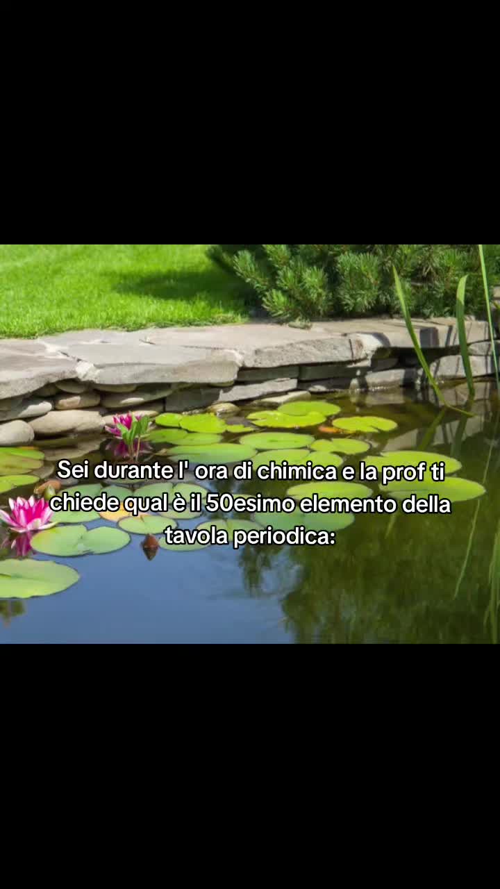 @Il.tiktoker.grammichelese
