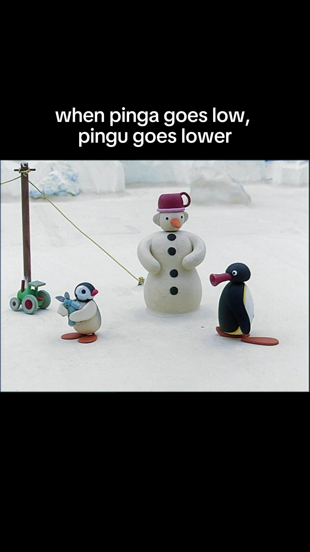@Pingu