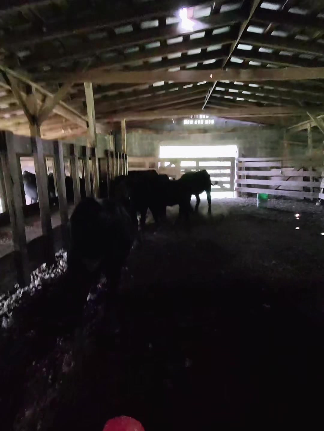 @M&M Cattle co.