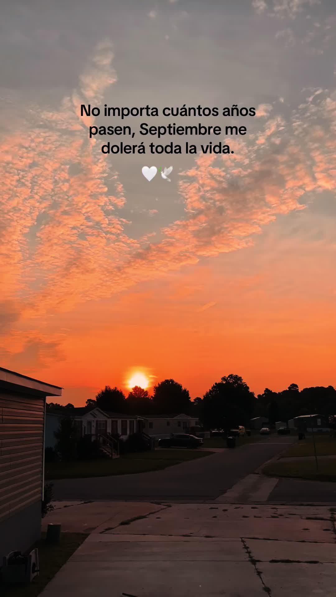 @💗✦ Vale✦🎀🧸