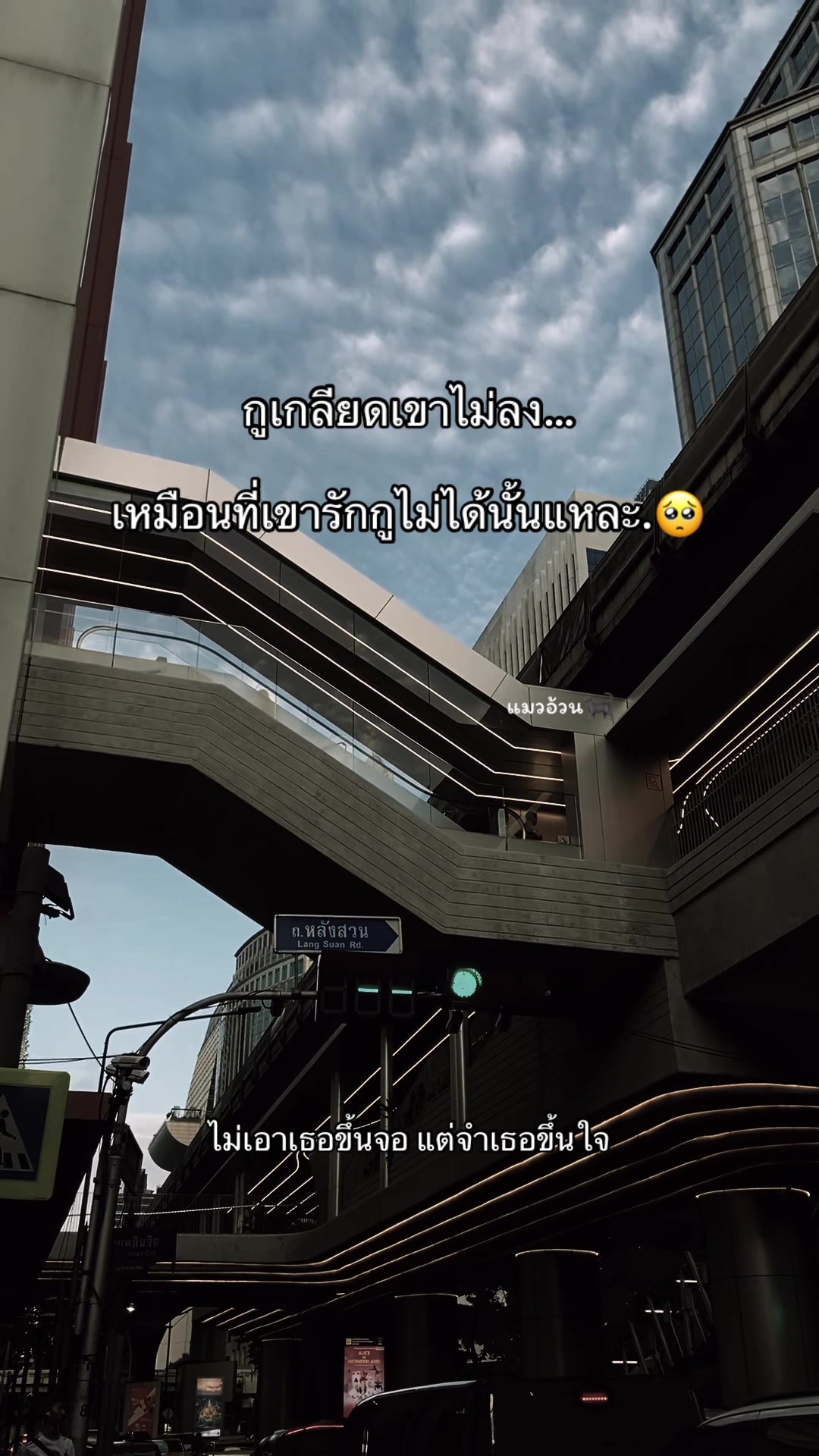 @แมวอ้วน🐈⬛