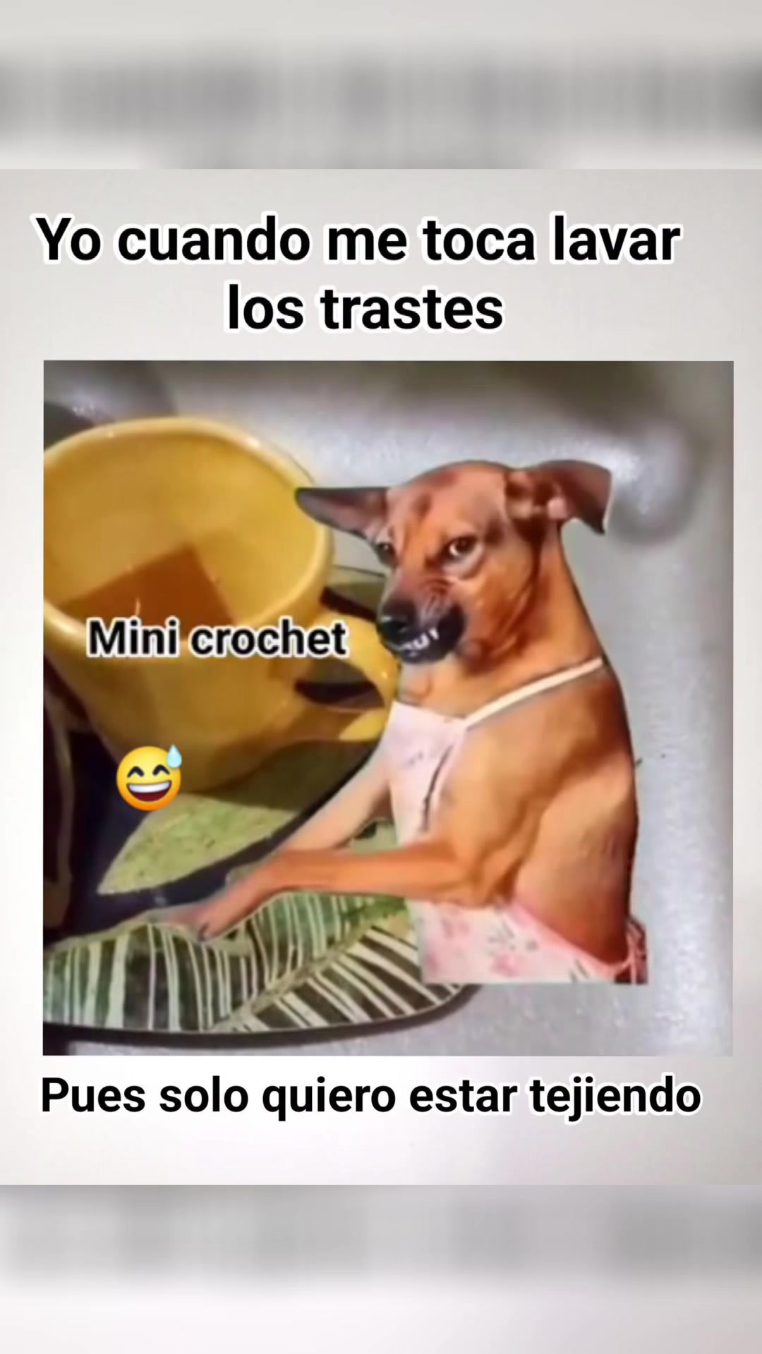 @Tejidos Cándida