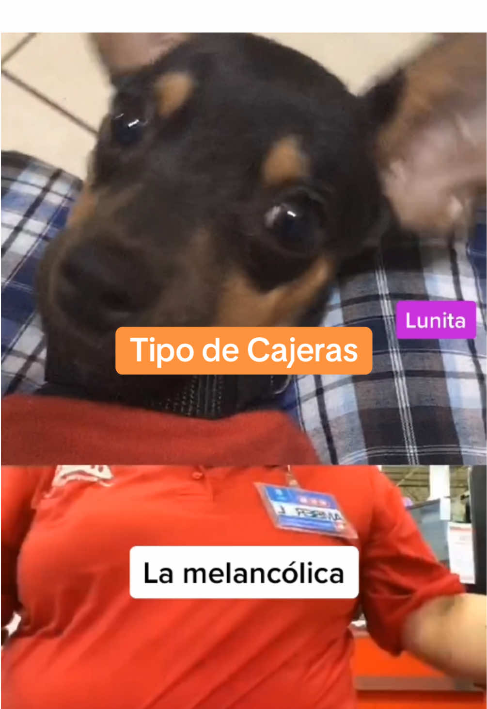 @Team Luna