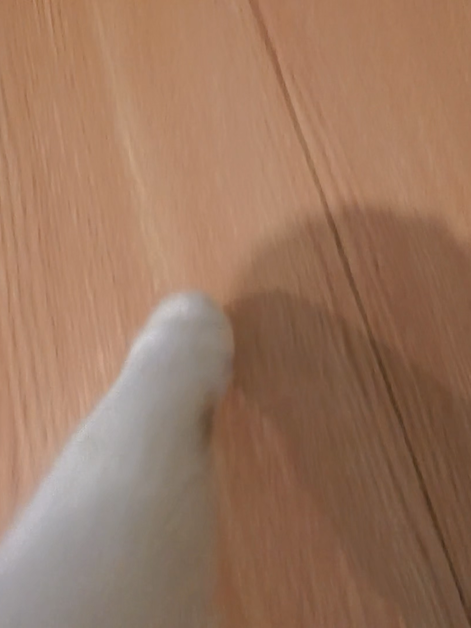 @cats
