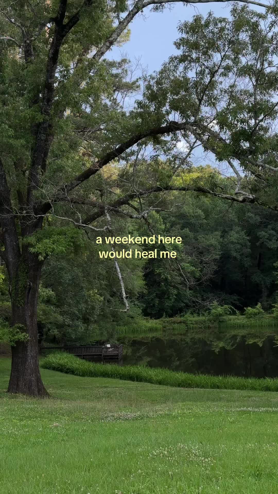 @Field & Forest