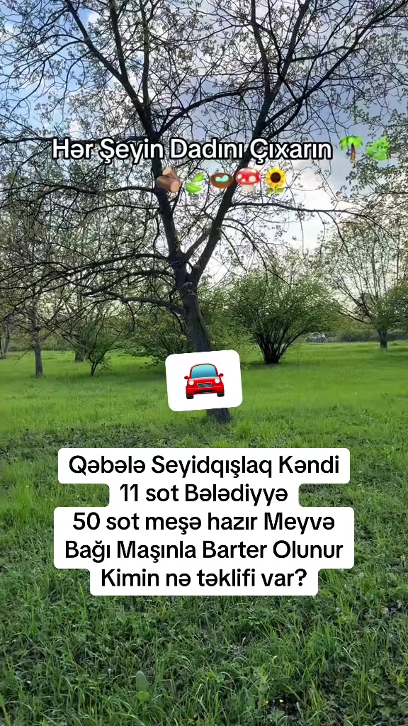 @rr_emlak_qebele600