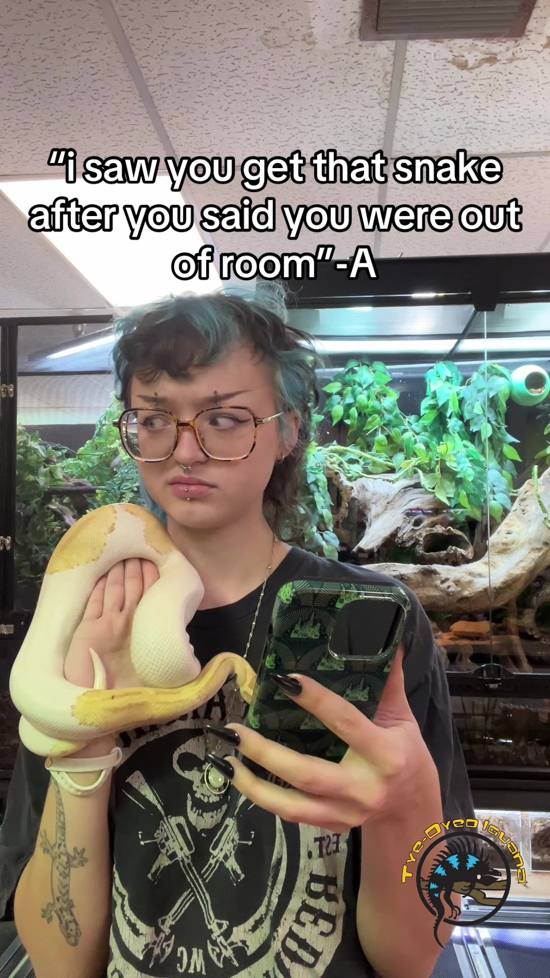 @Tye-Dyed Iguana