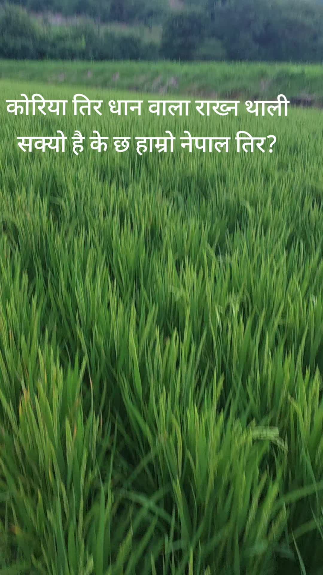 @surya_paudel123