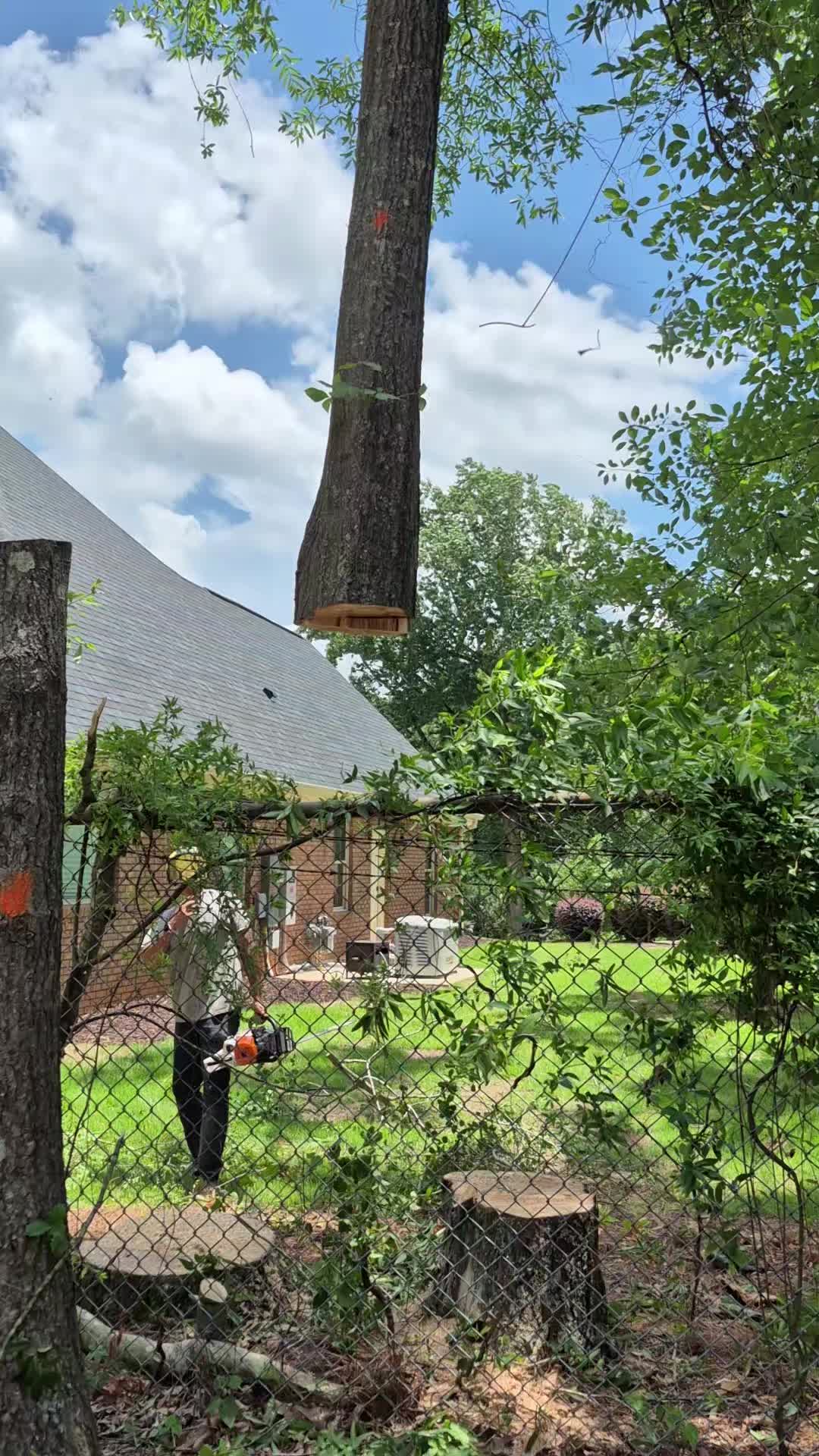 @R&G tree and landscaping