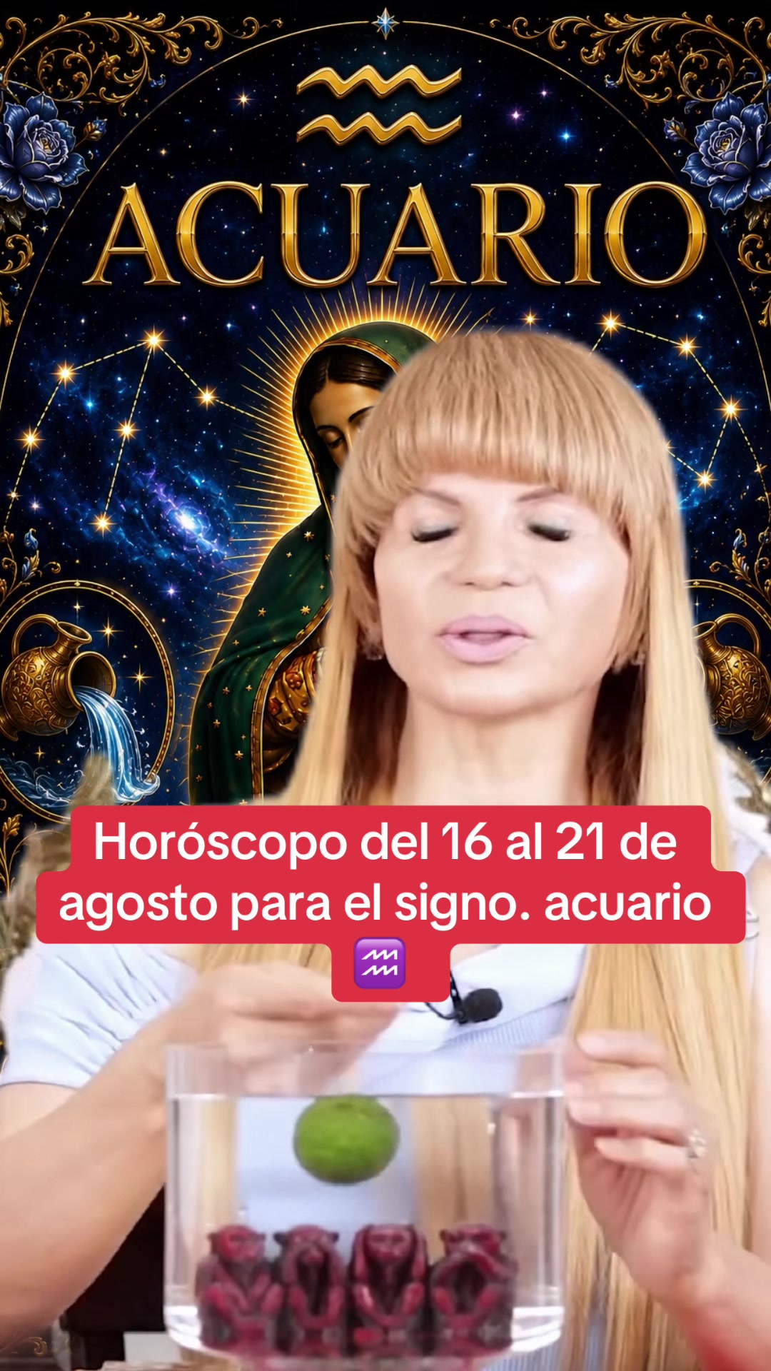 @✨ORÁCULO 13 ✨