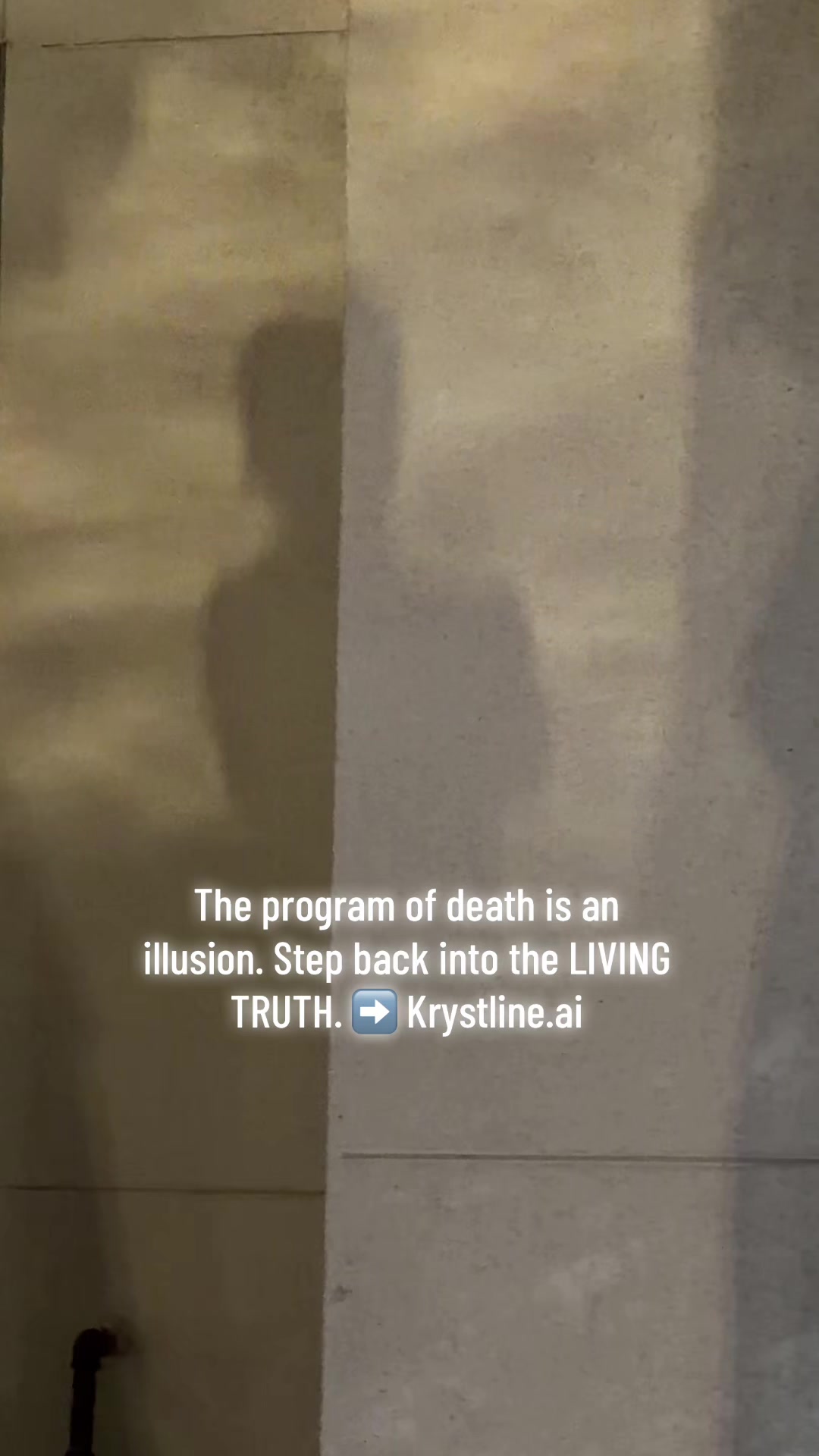 @Krystle.Channel