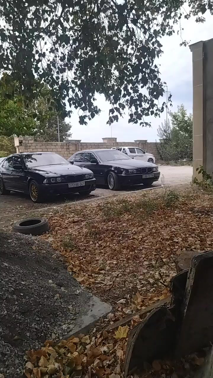 @Anar 313