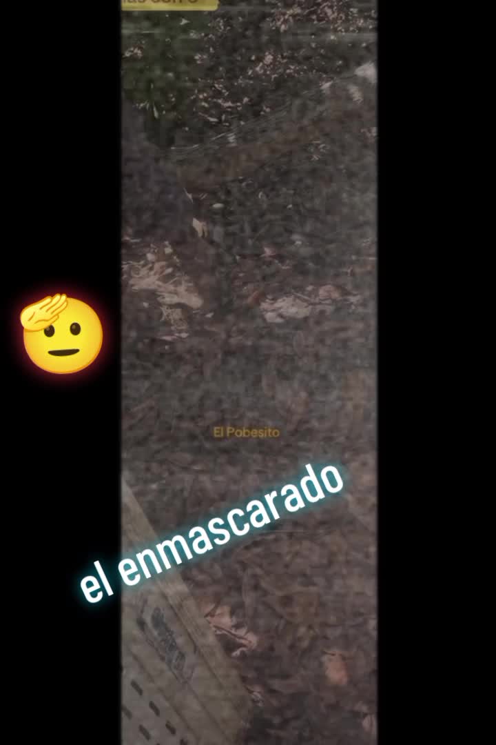 @peluche9260