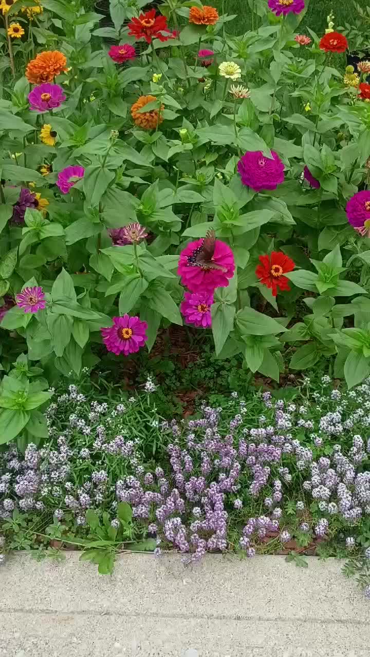 @O.G.