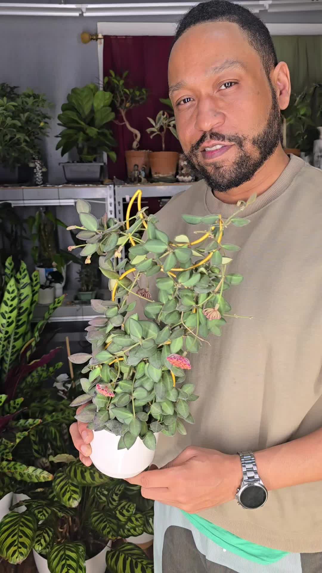 @JT - BigEGOPlants