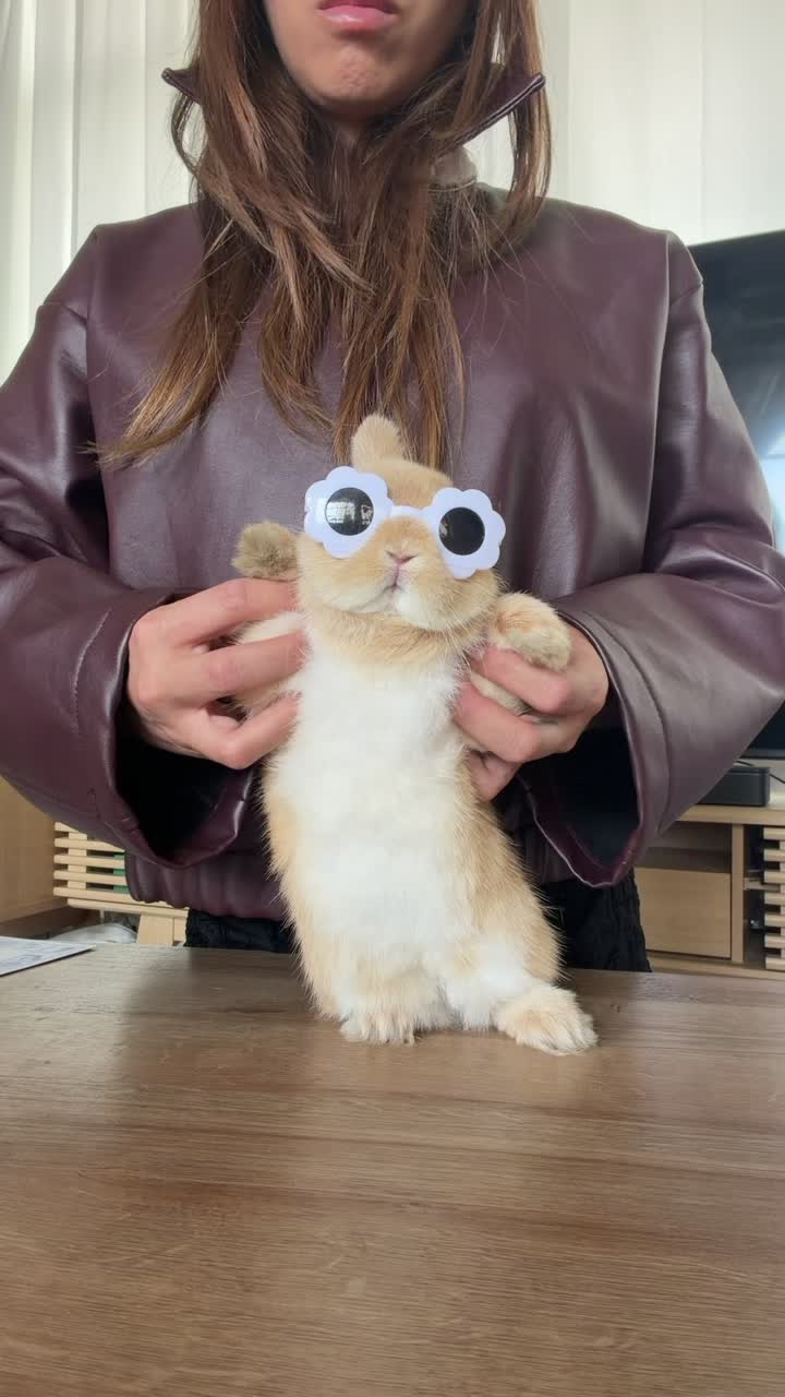 @Bunnydayoff