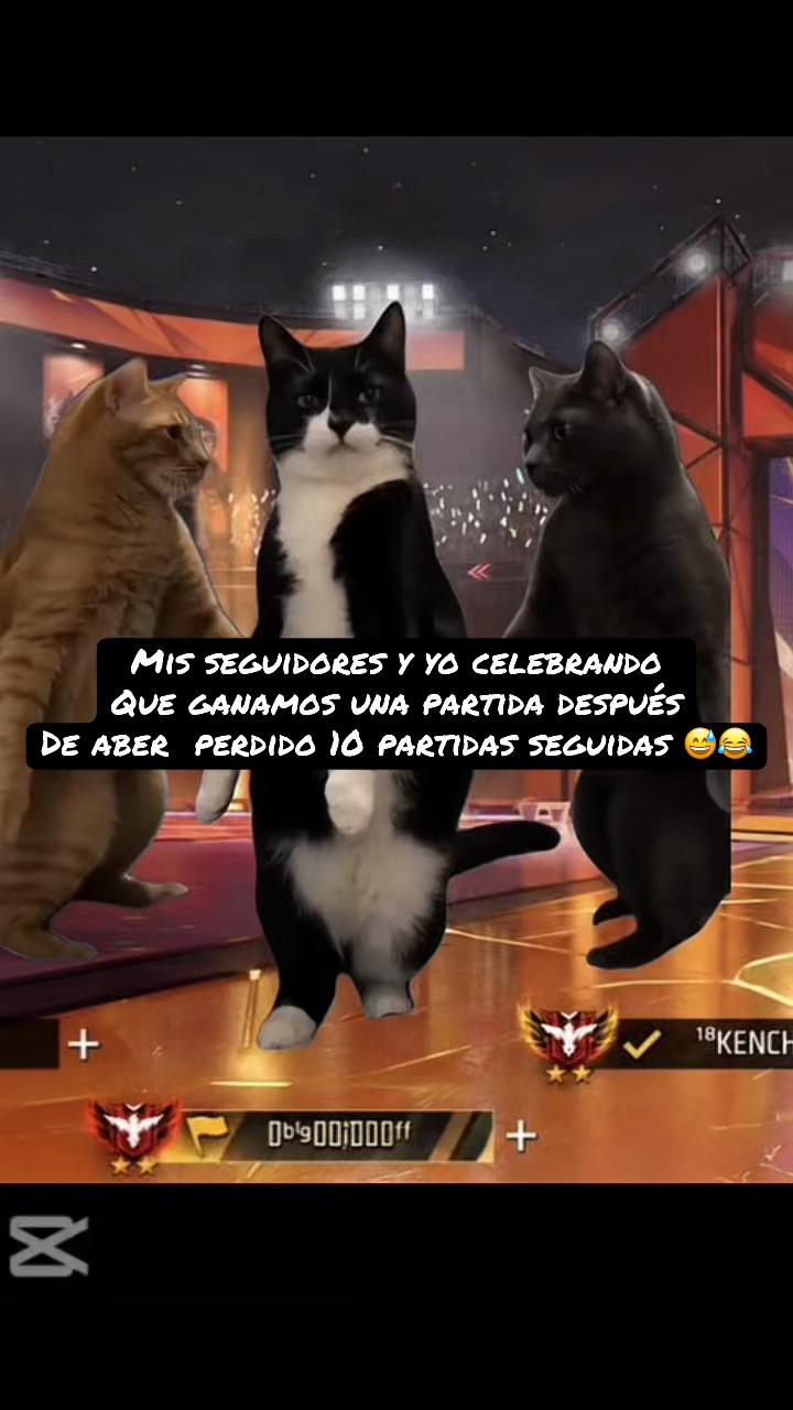 @mayorcitaff
