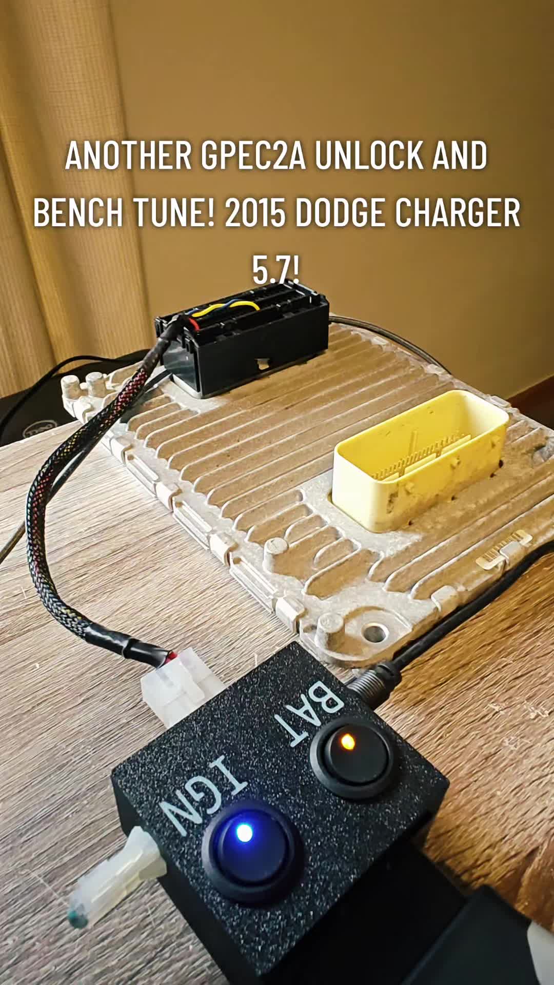 @#Leotune