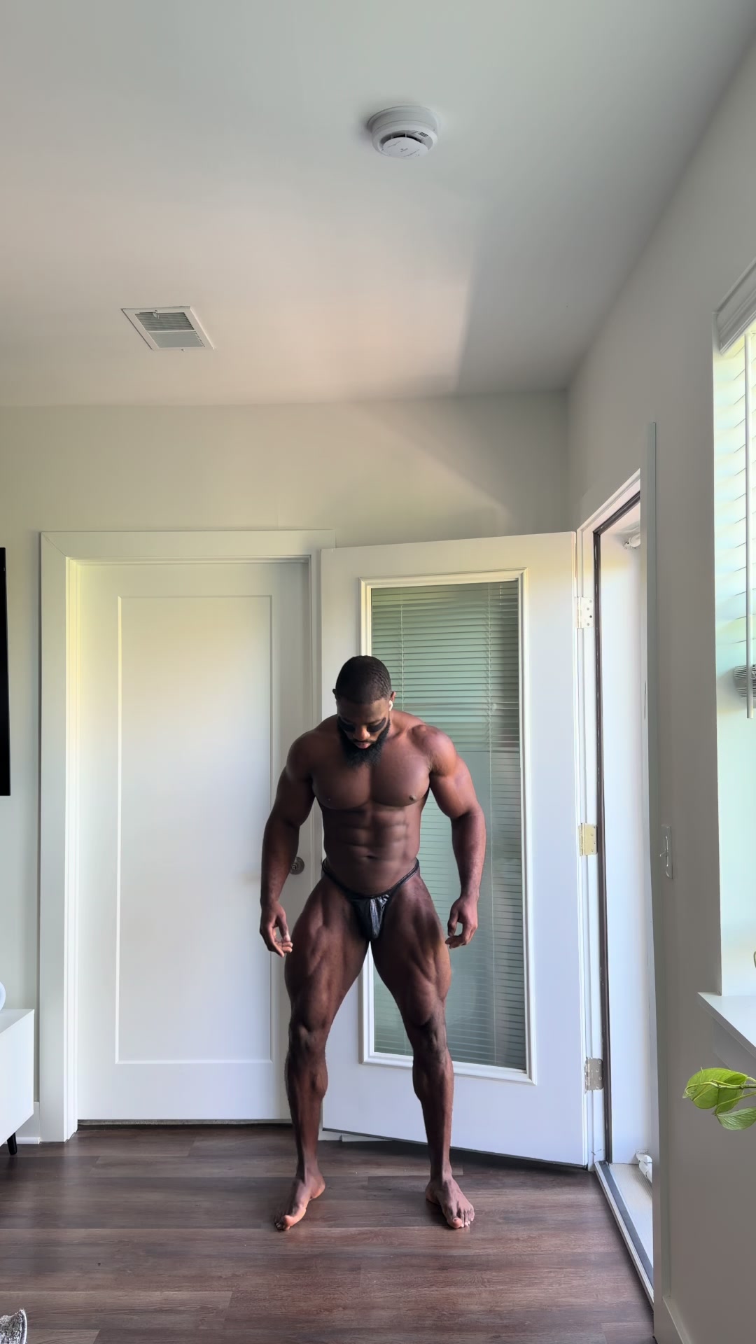 @greigorey
