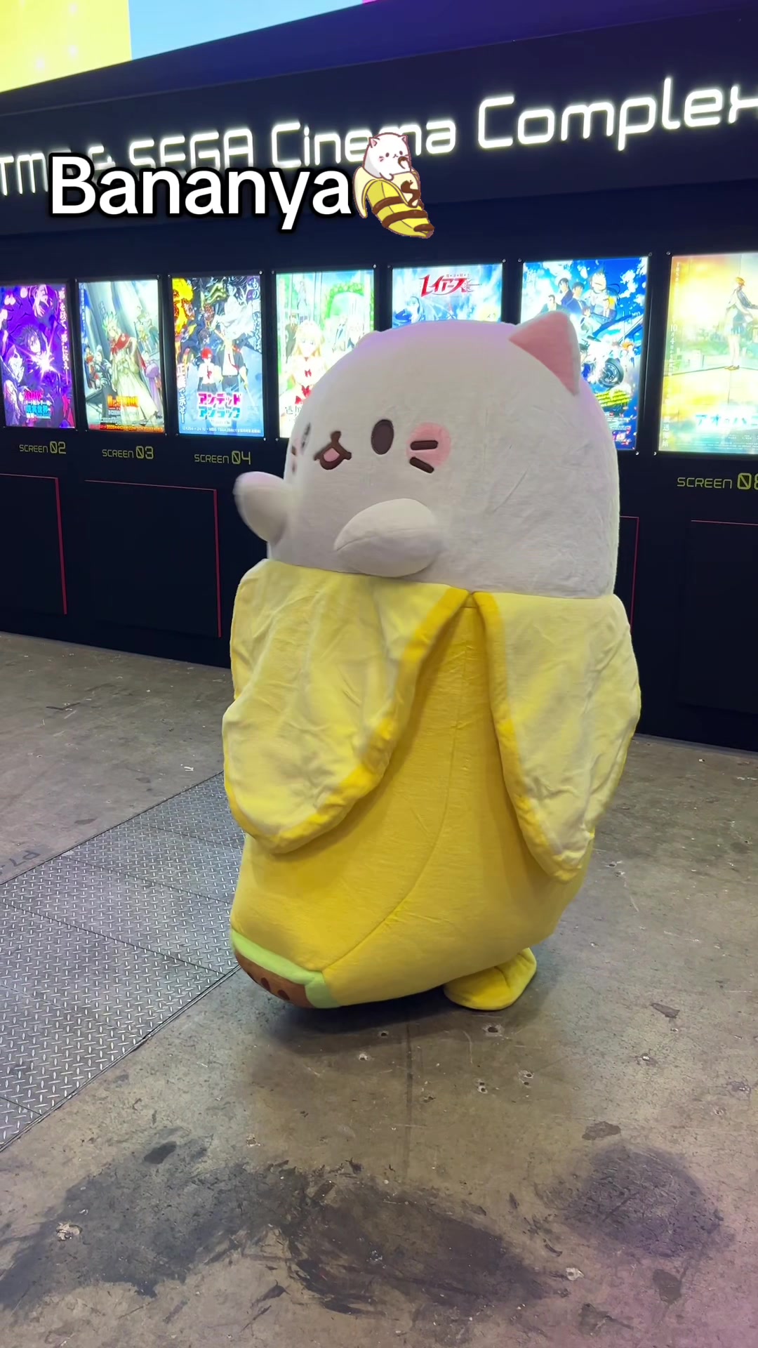 @niconico_kirara