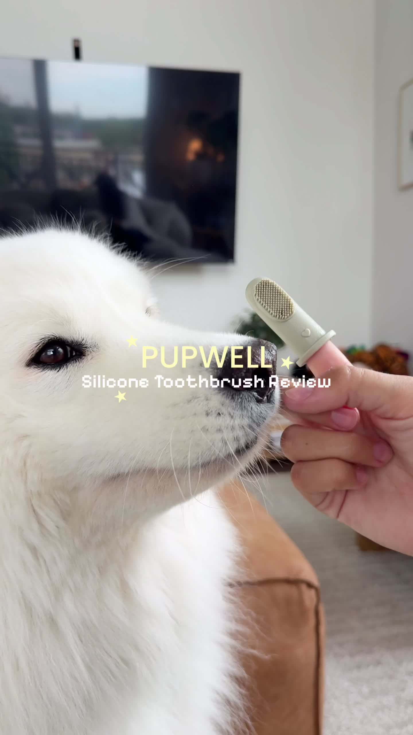@Pupwell