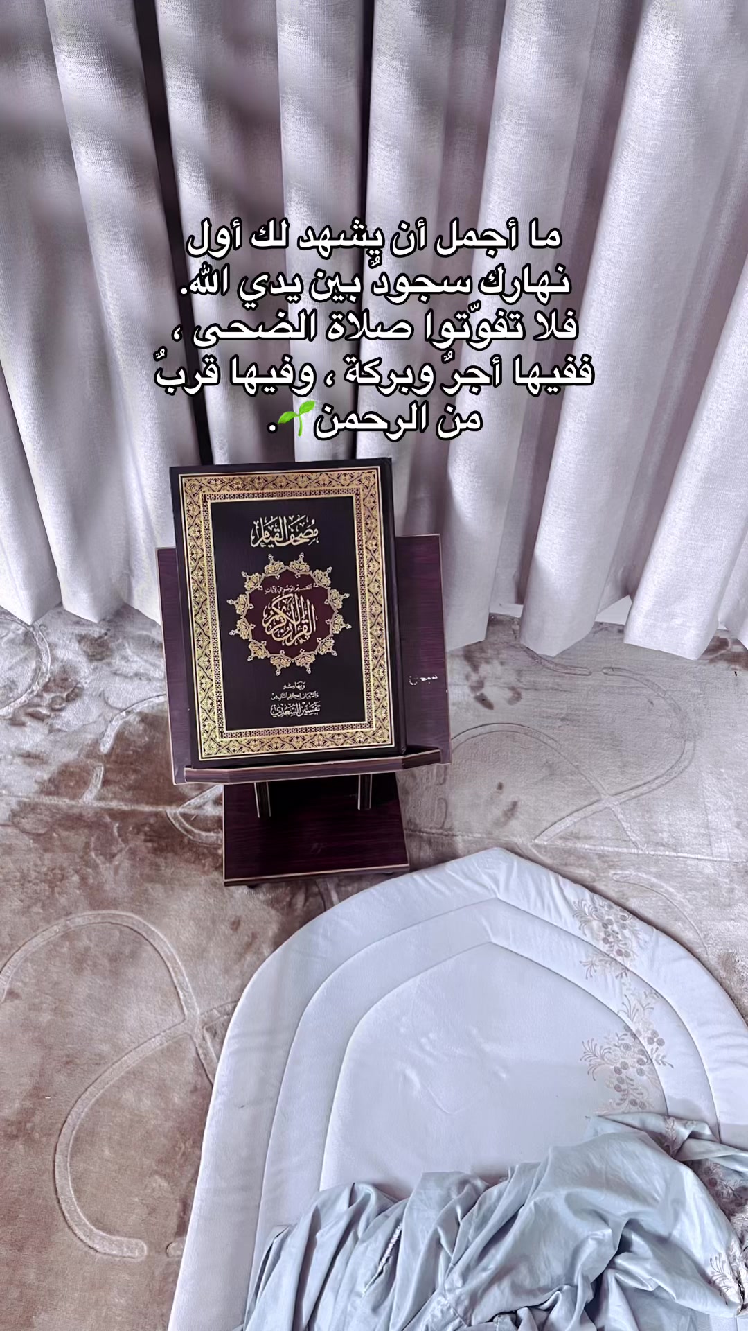 @لافندر🍁