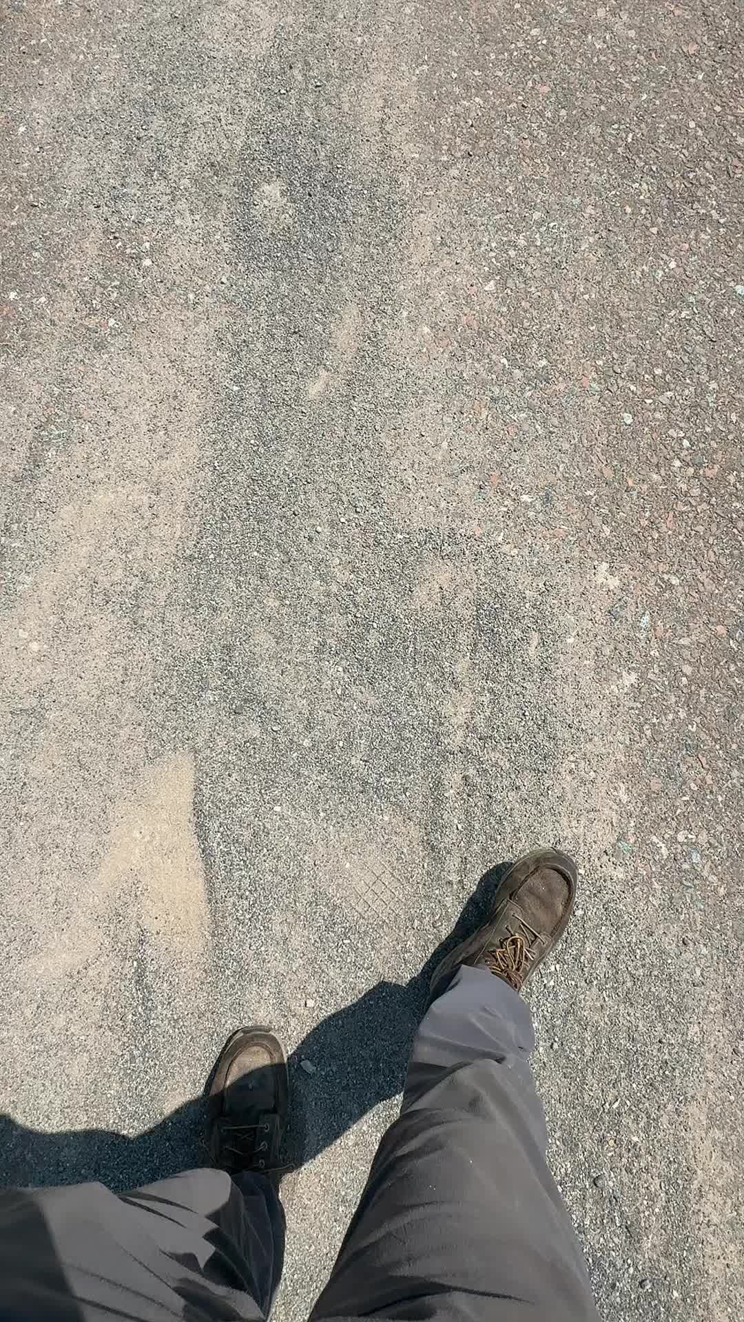 @Landis27