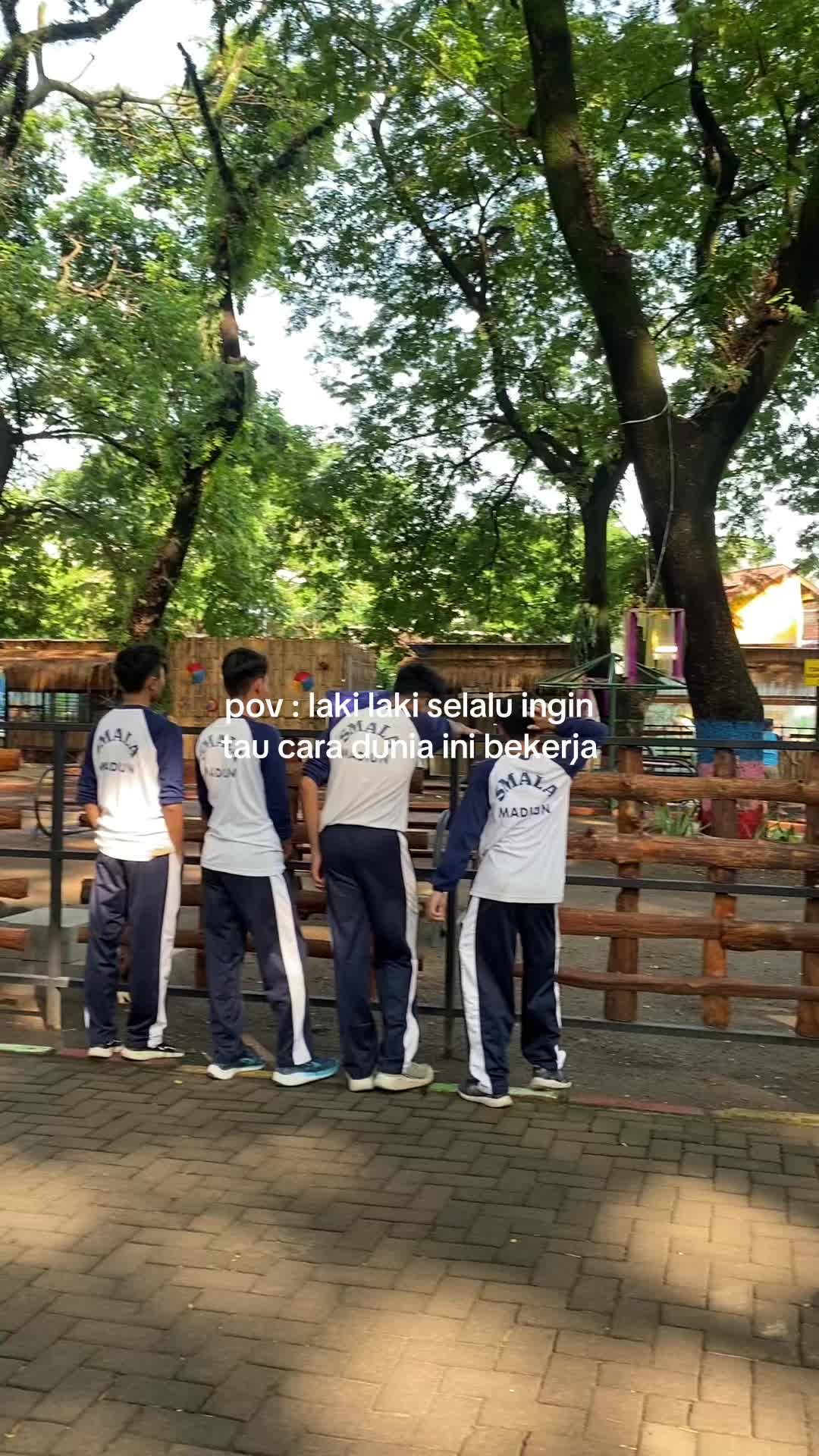 @XII MIPA 3