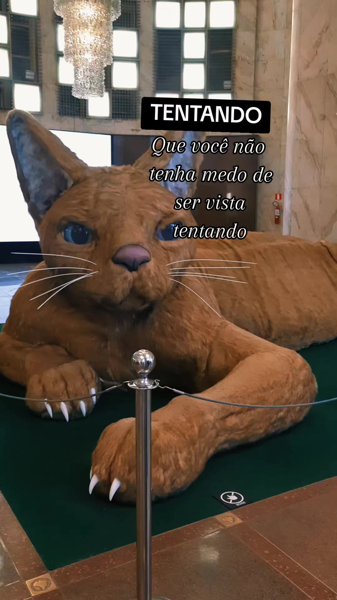 @Andreia Nogueira