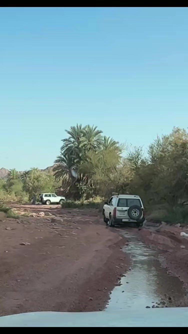 @ابوايوب الشمري