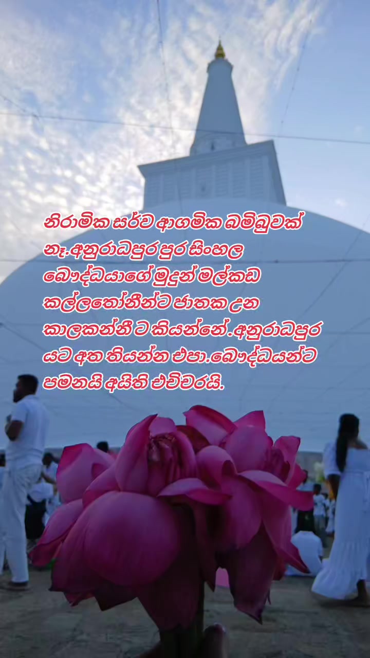 @🥀Dil🪷🇱🇰🇦🇪⚘️