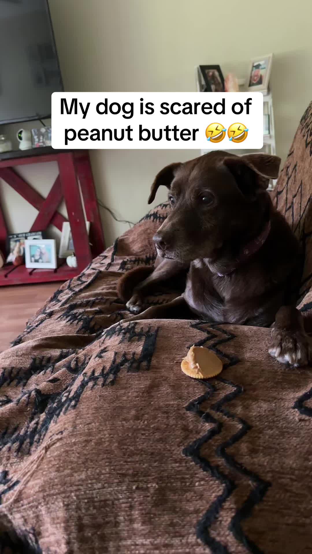 @ⓉⓐⓣⓣⓔⓓⒼⓐⓜⓜⓨⓞⓕ④
