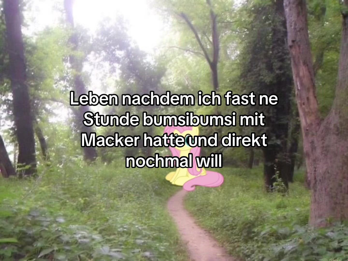 @n1chemus1c