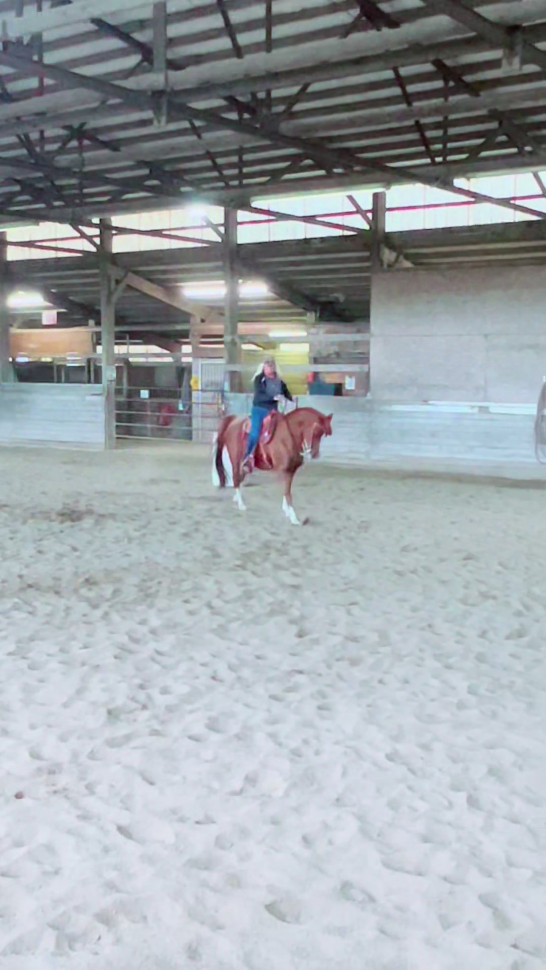 @Pony Girl