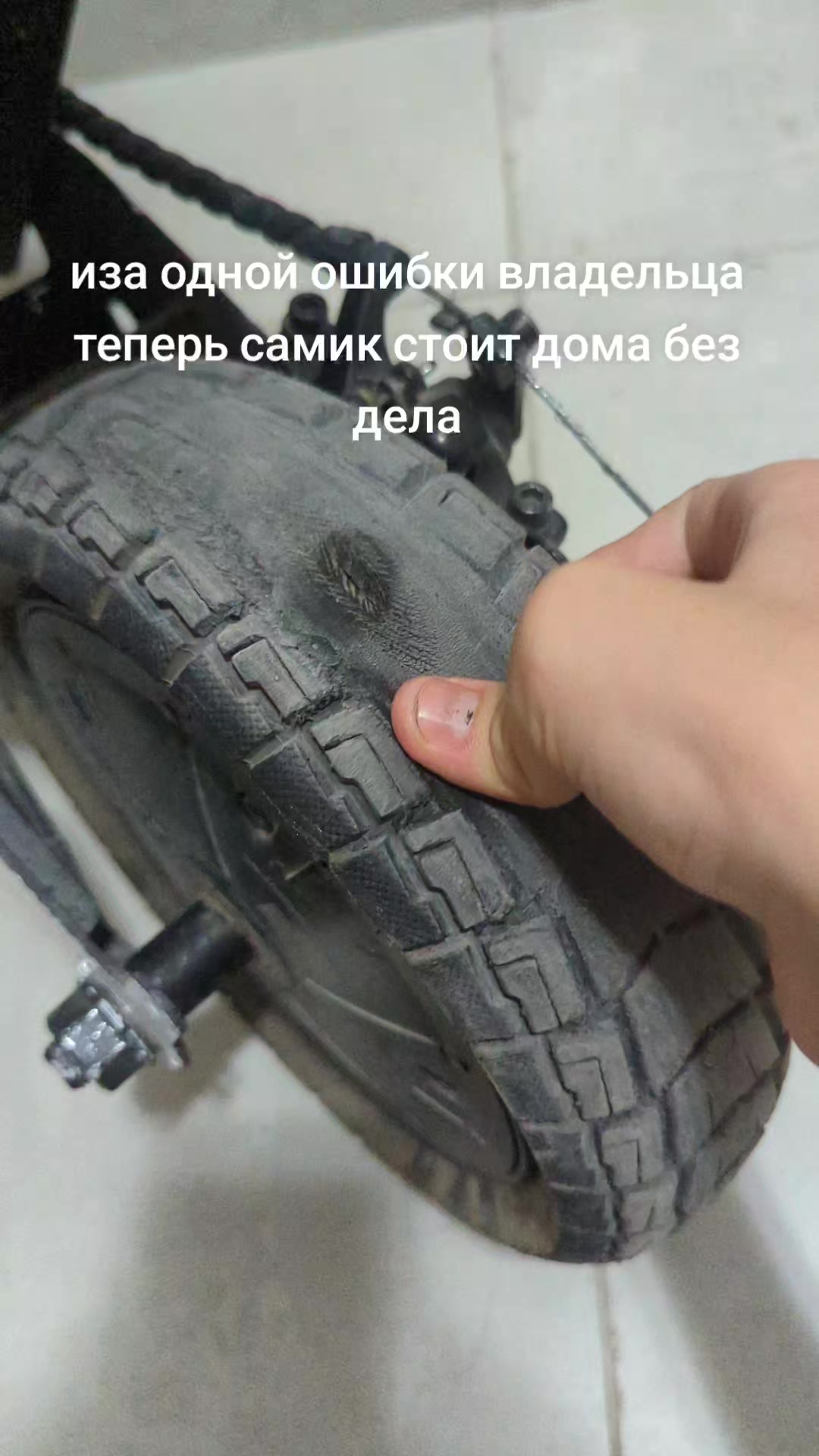 @#𝚉𝚢𝚛𝚘𝚡🪽 (цiплiнэк)