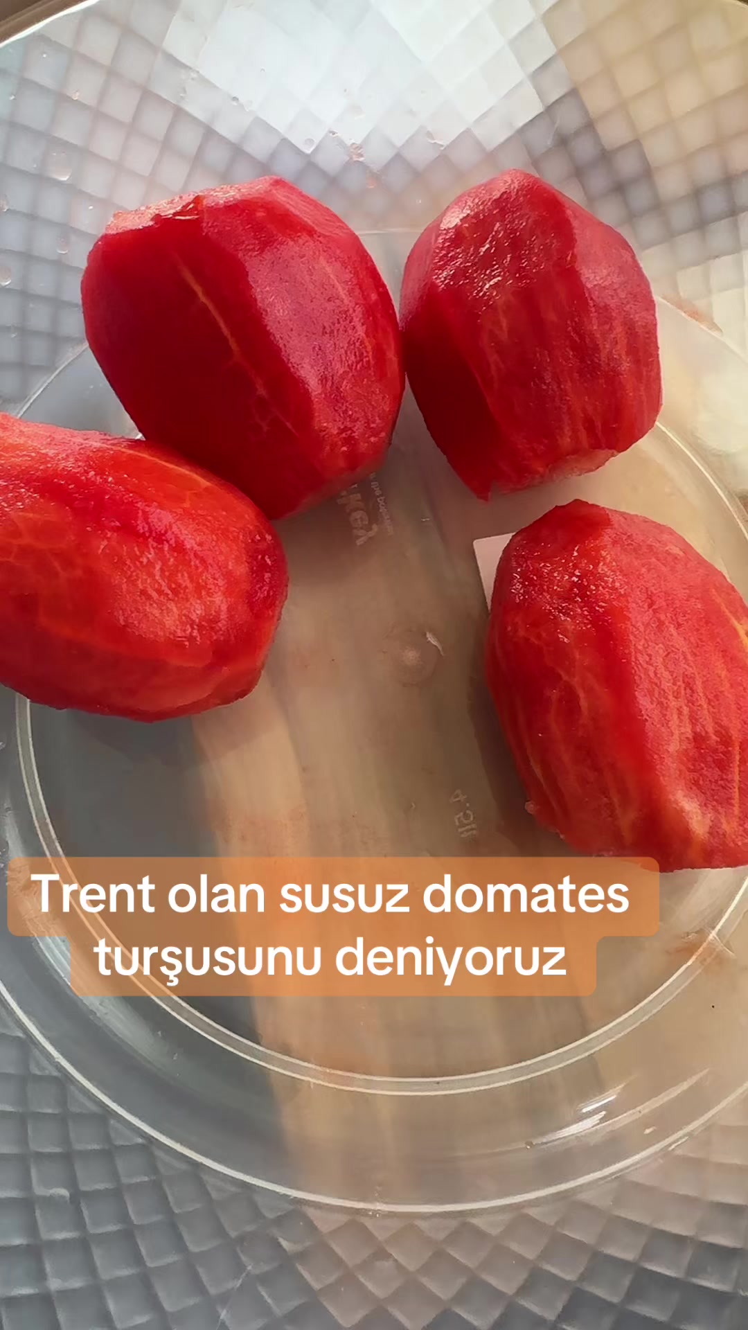 @🌵 KaKTüS EtKiSi