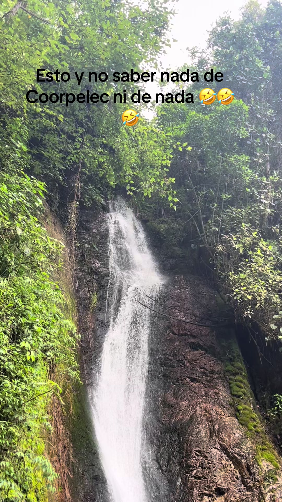 @JoseGPerez360