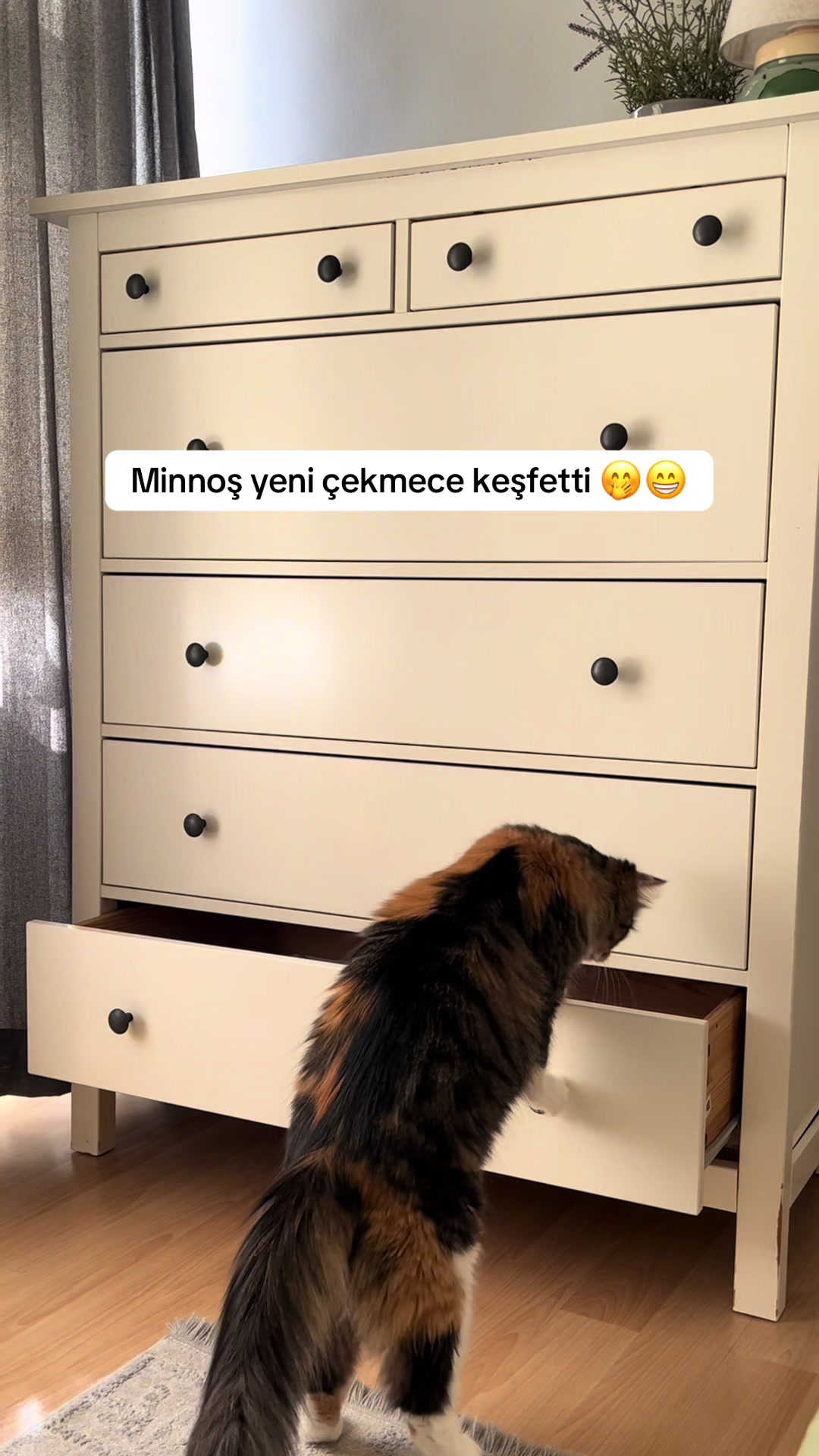 @konusankediminnos